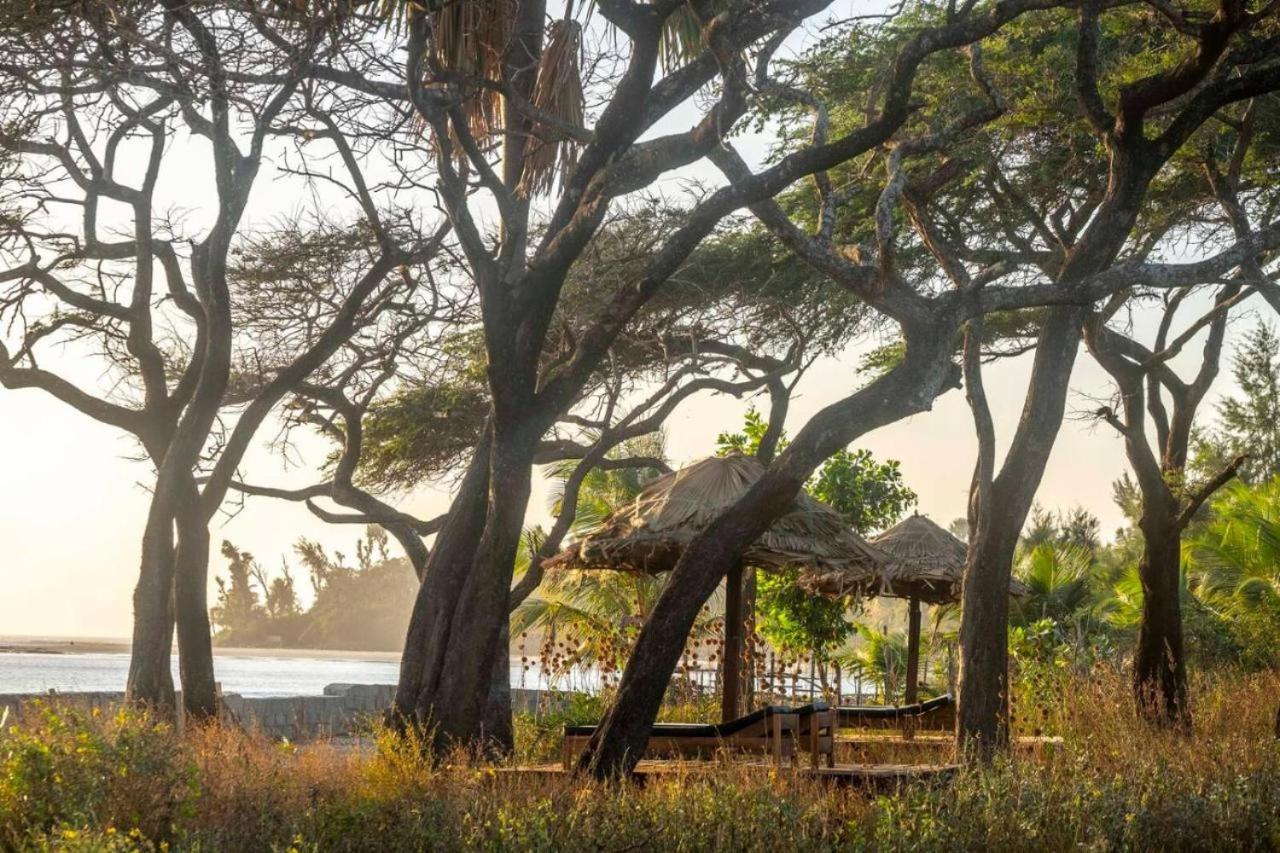 Mansa Musso Lodge Sanyang Exterior foto
